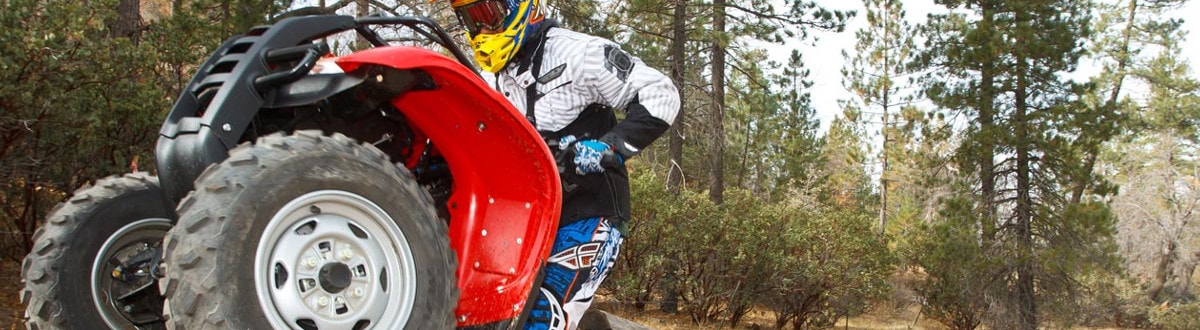 Honda&reg; ATV for sale in Twigg Cycles, Hagerstown, Maryland